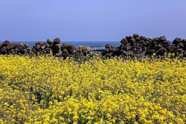 방문 당일 준비와 이동 흐름