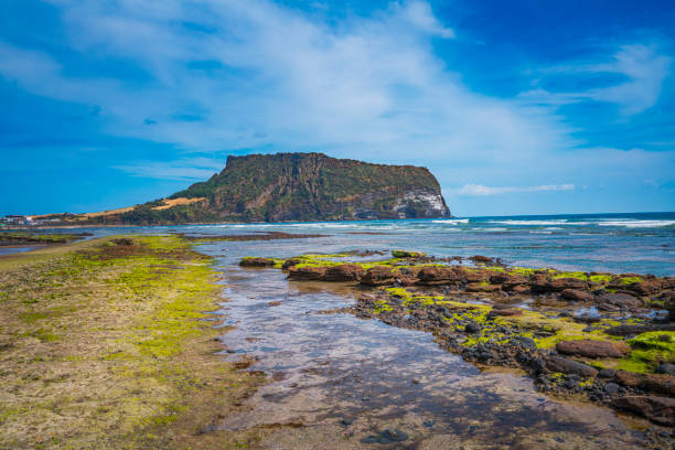 제주 지역 특성과 방문 환경 이해