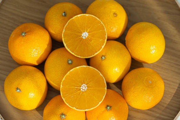 제주 밤문화 안에서 제주오피가 차지하는 위치