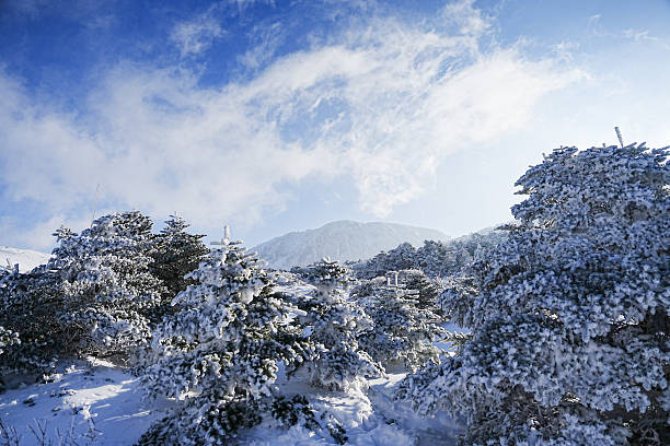 제주오피는 어떤 형태의 밤문화 공간인가