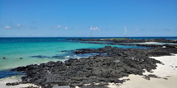 이용 후 확인 및 마무리 절차